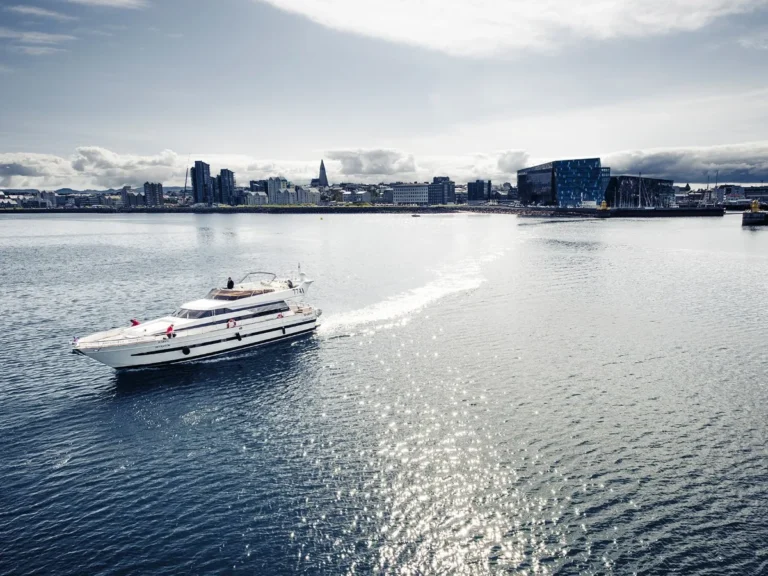 Harbor-Cruise-with-Three-Course-Dinner-from-Reykjavik-02-07