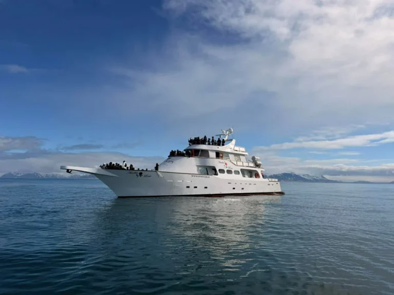 Iceland-Discover-humpback-whale-tail-fluke-whale-watching-tour-yacht 2