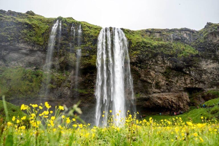 South Coast Wonders Waterfalls - Vik & Black Sand Beach 3