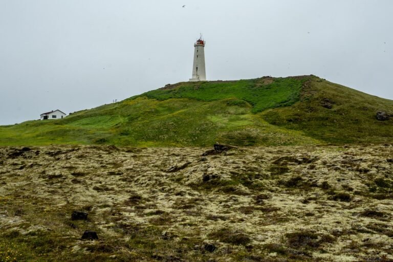 Volcano Circle Tour - Grindavík Town- Reykjanes Lava Fields 6