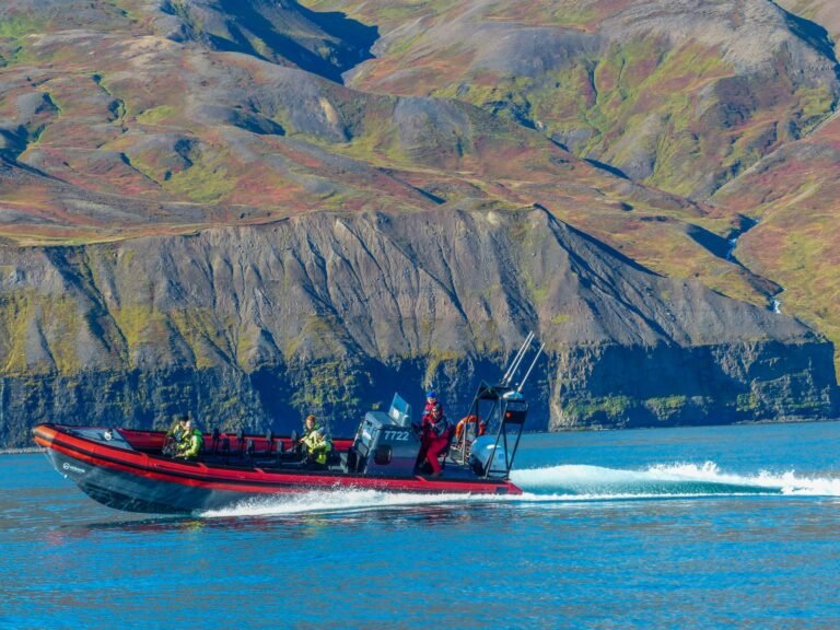 Big-Whales-Puffins-RIB-boat-Husavik-03