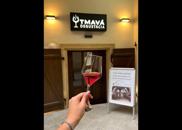 Wine Tasting IN THE DARK 6