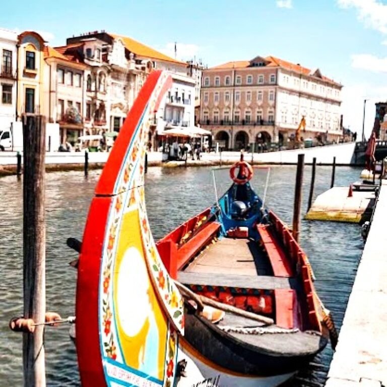 large-aveiro-coimbra-tour-3