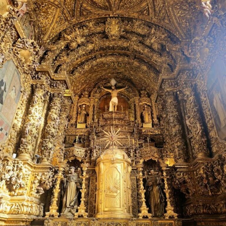 large-aveiro-coimbra-tour-6
