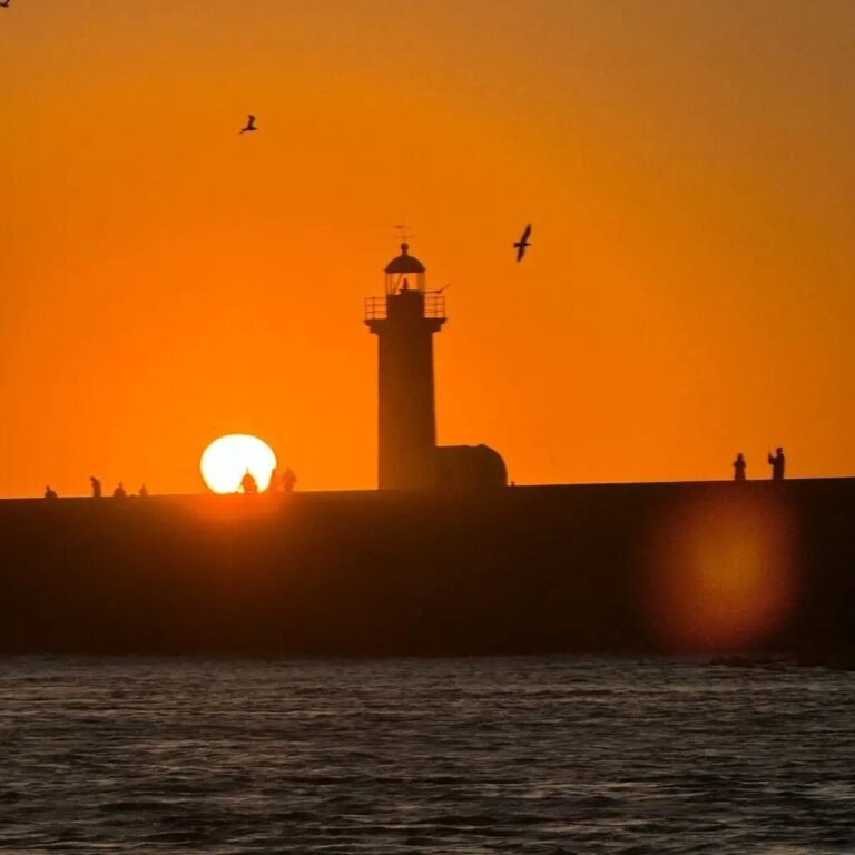 large-douro-sailing-sunset-experience-16