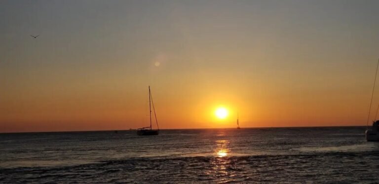 large-douro-sailing-sunset-experience-8