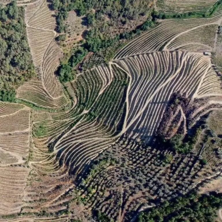 large-douro-valley-wine-tour-3