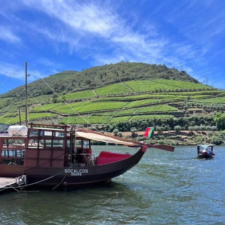large-douro-valley-wine-tour-4