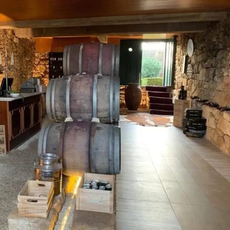 large-douro-valley-wine-tour-7