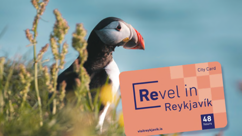 Reykjavik City Card 48 hours