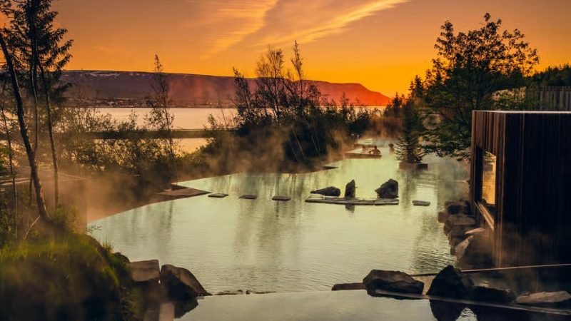 Warm admisson Forest Lagoon featured 2
