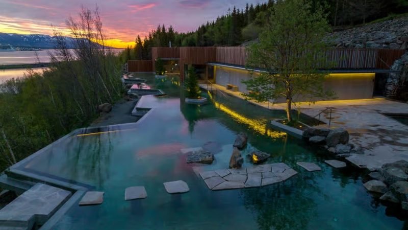 Warm admisson Forest Lagoon featured